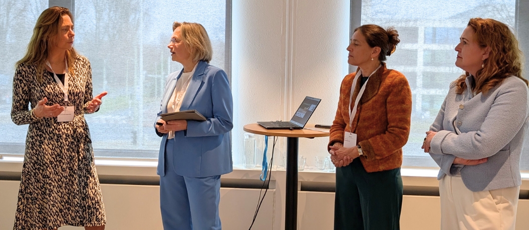 Leestip waar ligt de rol van de NARIM bij DSH