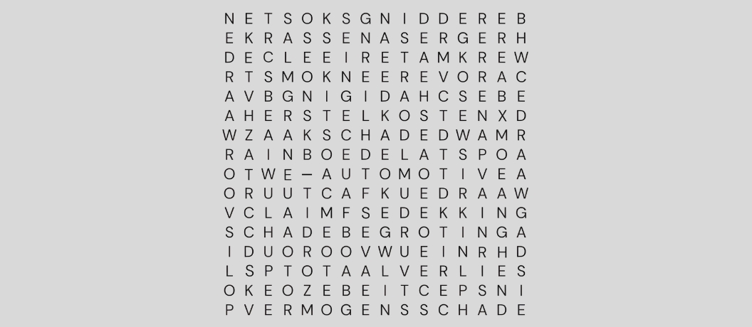 NIVRE puzzel